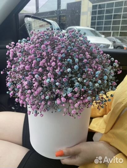 Гипсофила букеты коробки