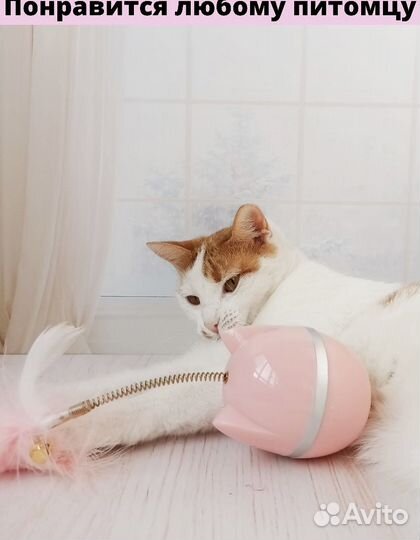 Игрушка неваляшка для кошек