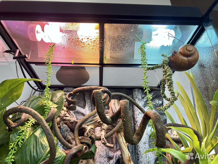 Террариум Палюдариум Hagen Exo-Terra 60x45x90