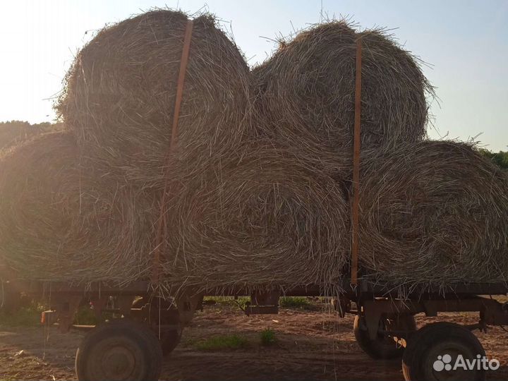Прессовка сена