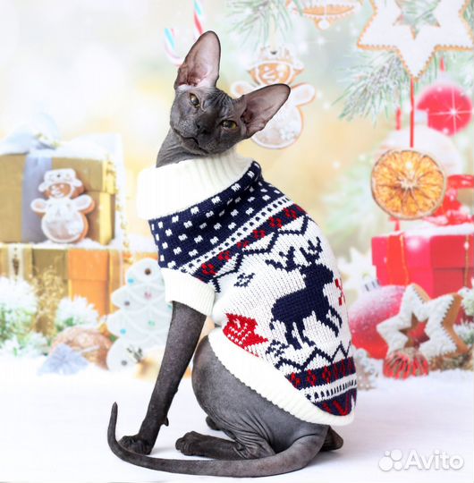 Ищу кота. вязка