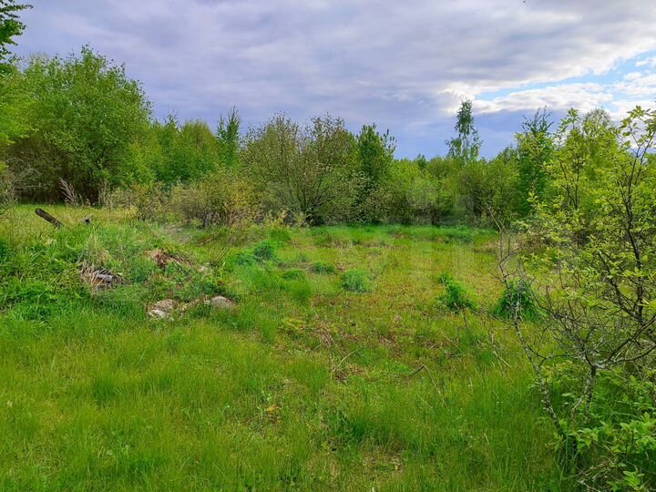 Участок 5 сот. (СНТ, ДНП)