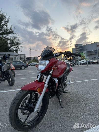Новый Racer Nitro 250
