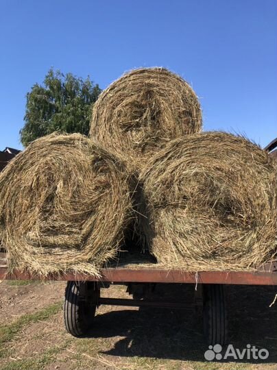 Сено в рулонах