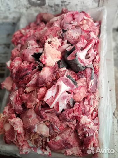 Мясо говядина для собак