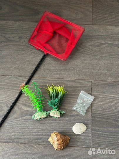 Растения, сачок для аквариума