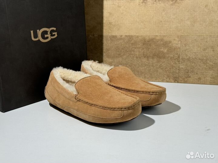 Мокасины зимние UGG Mens Ascot Chestnut