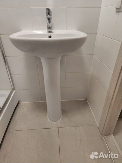 Раковина тюльпан