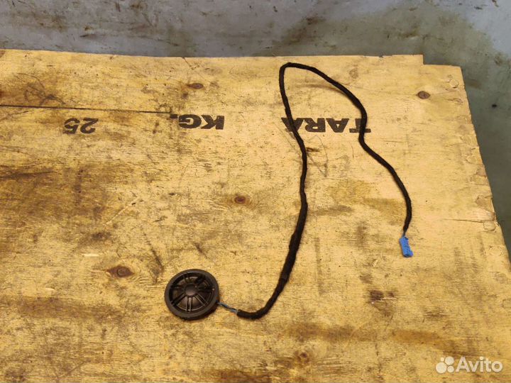 Пищалка двери BMW X5 E70