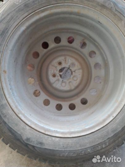 Dunlop Winter Maxx 205/60 R16