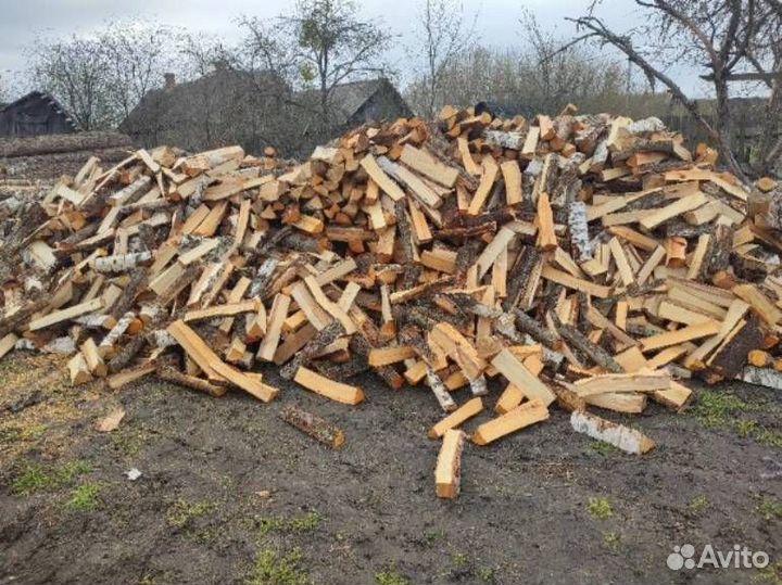 Дрова береза