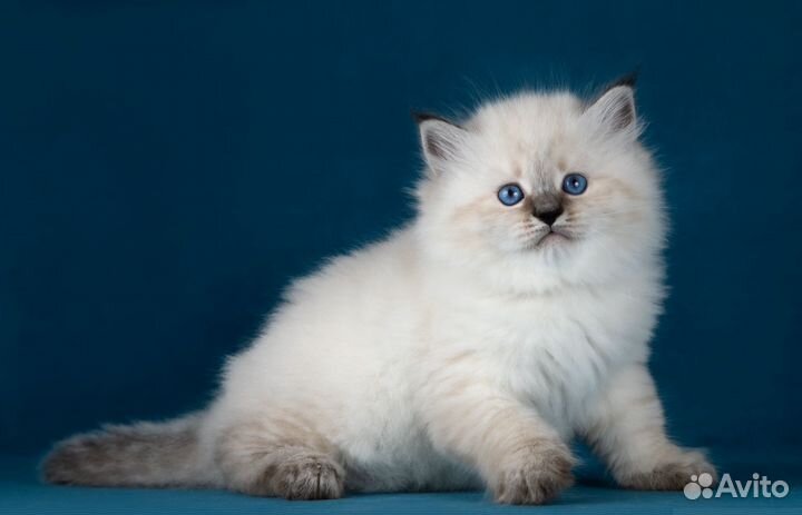 Уют вашего дома