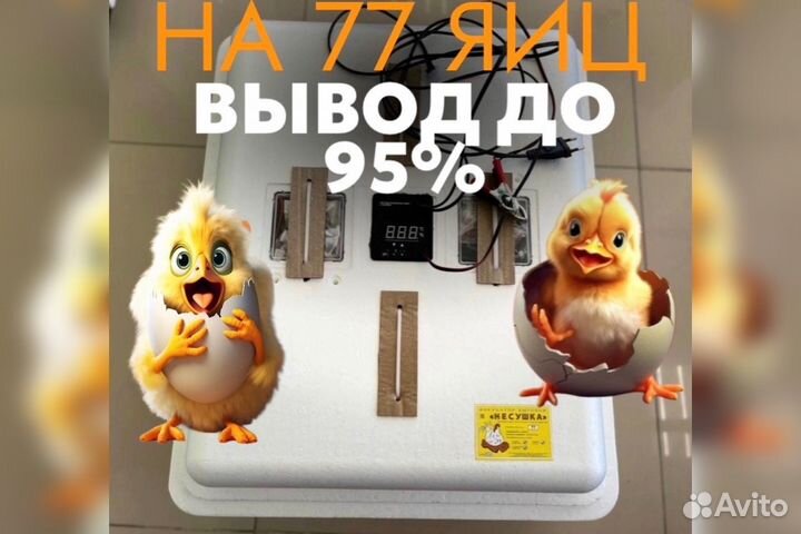 Инкубатор несушка для яиц автоматический