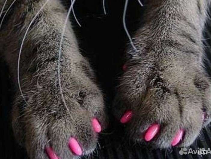 Антицарапки силиконовые для кошки