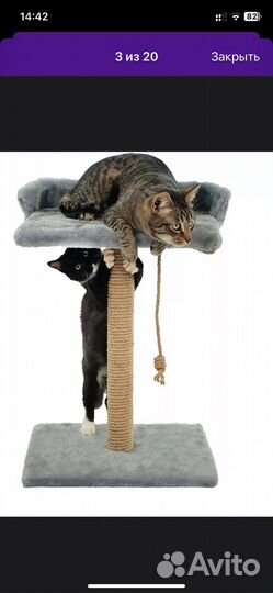 Когтеточка для кошки