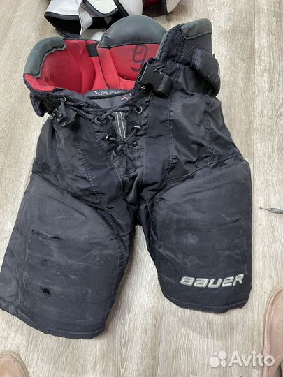 Bauer шорты