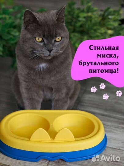 Миска для животных