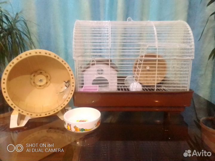 Клетка для хомяка