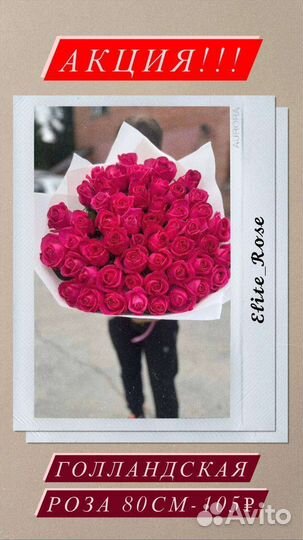 51 роза 80см с доставкой. Розы оптом