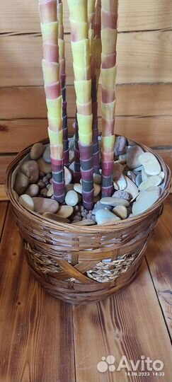 Искусственное дерево в горшке