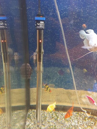 Аквариум