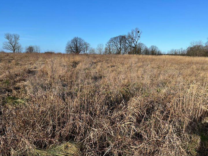 Участок 10,5 сот. (СНТ, ДНП)