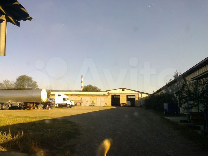 Помещение свободного назначения, 5000 м²