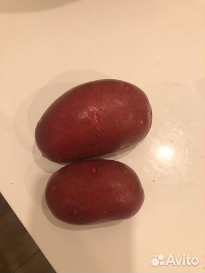 Продам картофель