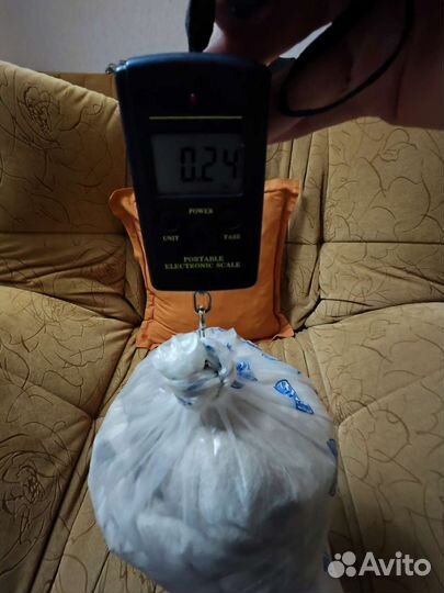 Пух балинезийского кота