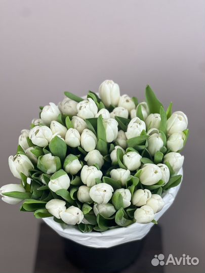 Тюльпаны в москве