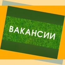 Стропальщик вахта Еженедельные выплаты проживание+еда /Хор.Усл