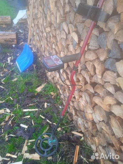 Металлоискатель minelab x-terra305