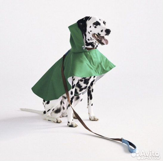 Дождевик для собаки Zara