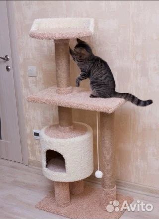 Домики, комплексы для кошек, когтеточка