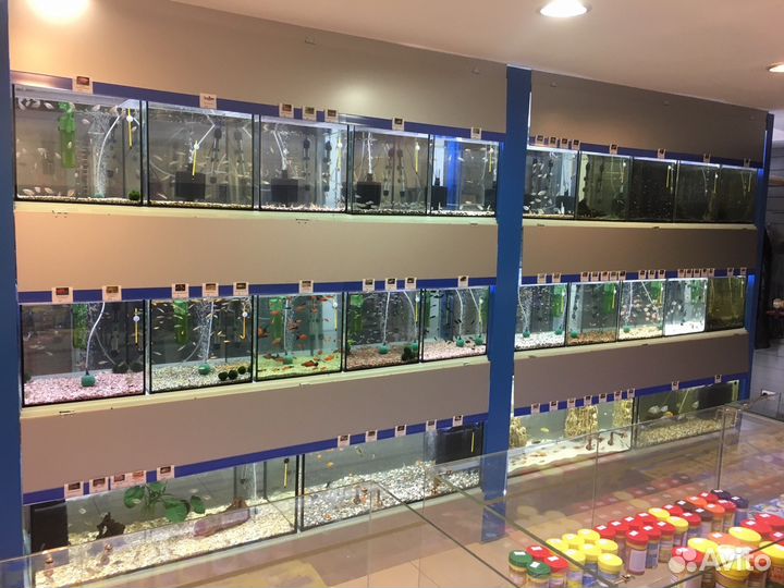 Аквариумные рыбки, все для аквариумистики