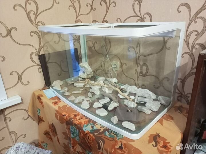 Аквариум 140