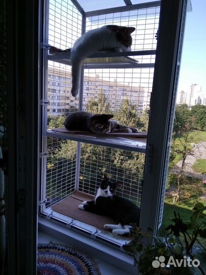 Балкончик для кошки на окно