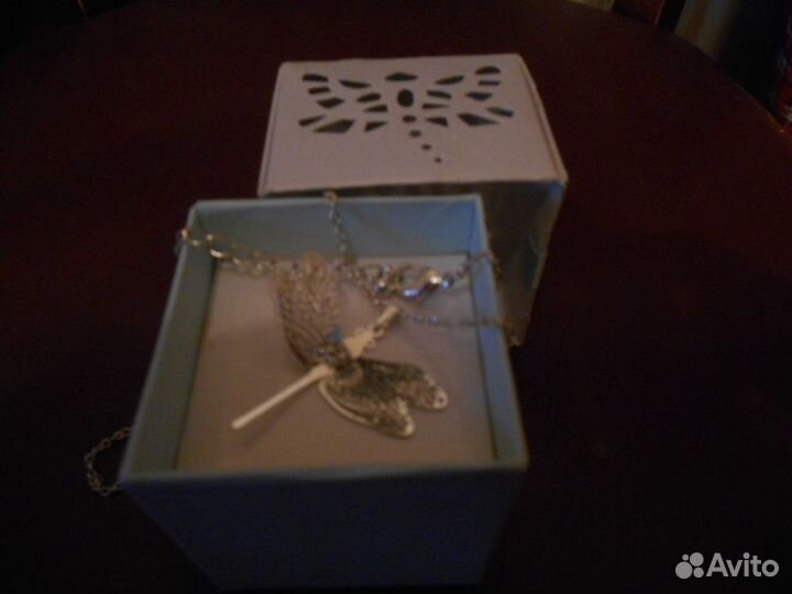 Посеребренная стрекоза