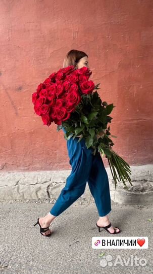 Розы высокие с доставкой