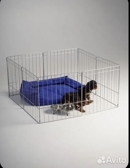 Вольер для собак, кошек, кроликов
