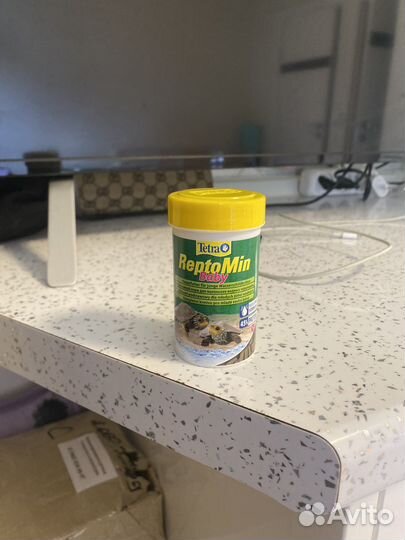 Черепашка красноухая