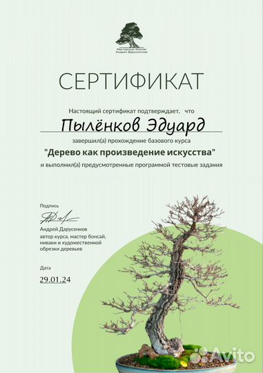 Обрезка плодовых деревьев и хвойных деревьев