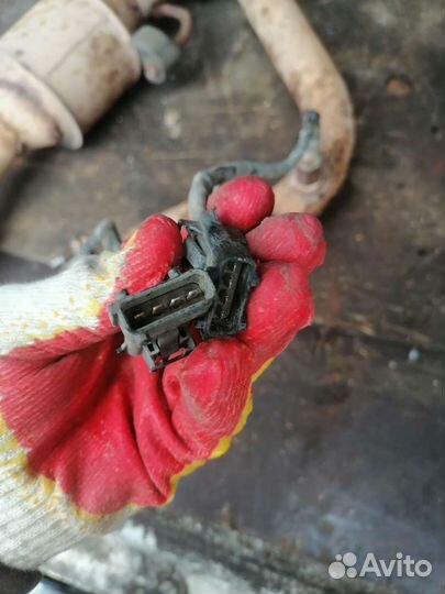 Лямбозонд вортекс тинго 12 г 1.8