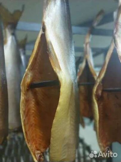 Рыба х/к