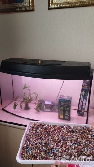 Аквариум телевизор