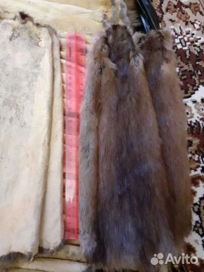 Шкуры ондатры, выделанные