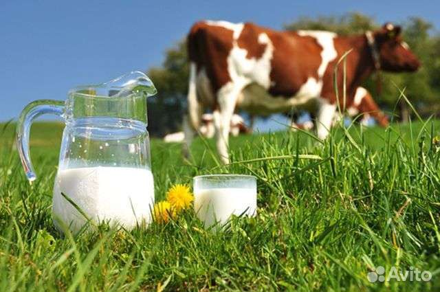 Натуральное молоко