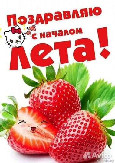 Аренда Сапборд