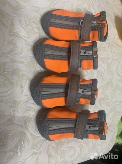 Обувь для собак мелких пород