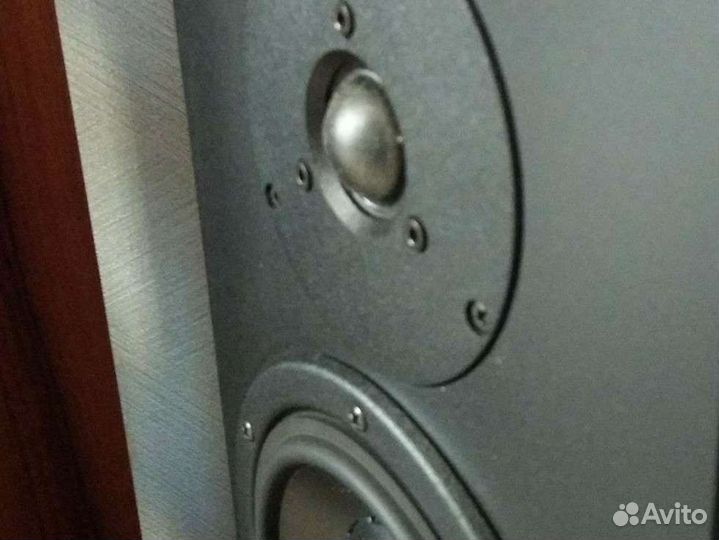 Акустическая система Dynaudio Audience 70